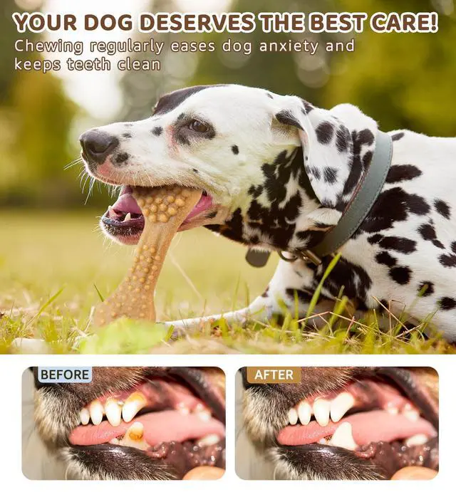 Alt view image 6 of 6 - Durable Dog Chew Toy for Aggressive Chewers, Tough Dental Toy for Teeth Cleaning, Boredom & Anxiety Relief, Long-Lasting Toy for All Dog Sizes & Teething Puppies, Keep Them Busy