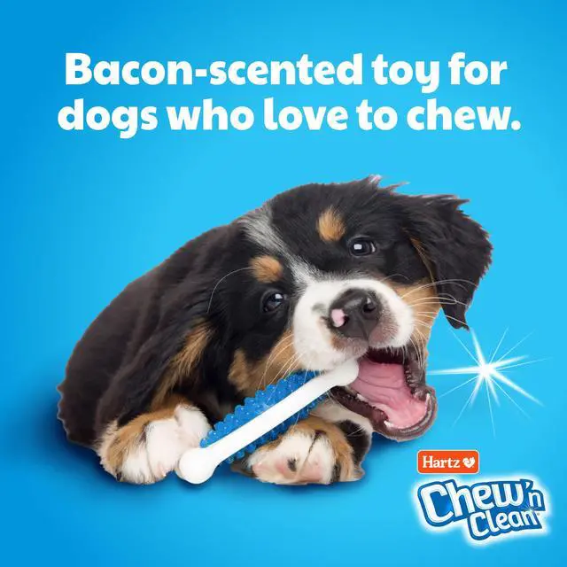 Alt view image 3 of 7 - Chew 'n Clean Tuff Bone Bacon Scented Dental Dog Chew Toy - Large