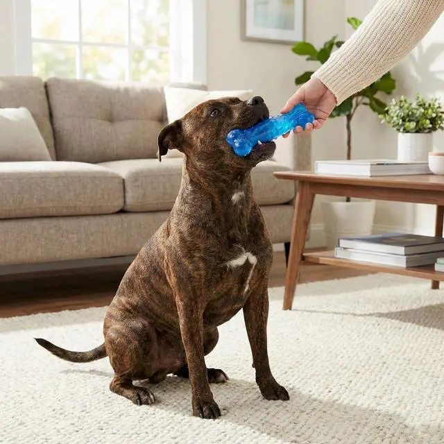 Alt view image 2 of 4 - Play Strong Scent-sations Bone - Scent-Infused, Strong, Durable TPR Rubber, Heavy Duty Dog Toys for Aggressive Chewers up to 45lbs, Perfect for Puppies & Medium Breeds, 6in, Bacon Flavored
