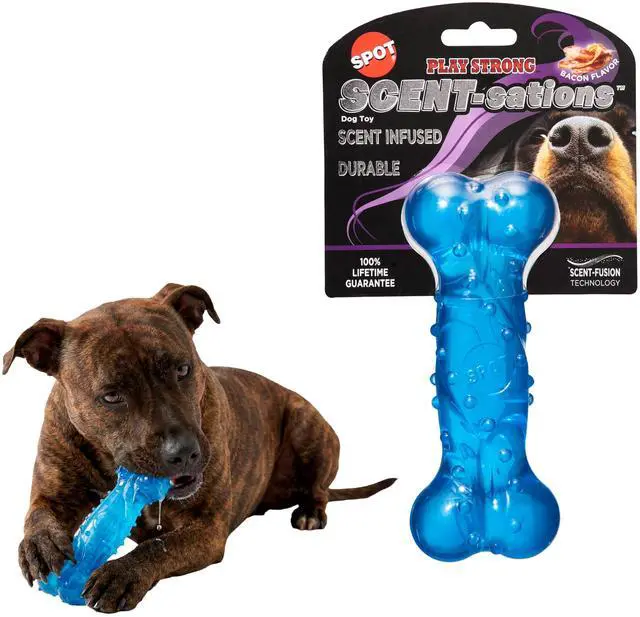 Main image of Play Strong Scent-sations Bone - Scent-Infused, Strong, Durable TPR Rubber, Heavy Duty Dog Toys for Aggressive Chewers up to 45lbs, Perfect for Puppies & Medium Breeds, 6in, Bacon Flavored