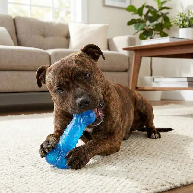 Alt view image 3 of 4 - Play Strong Scent-sations Bone - Scent-Infused, Strong, Durable TPR Rubber, Heavy Duty Dog Toys for Aggressive Chewers up to 45lbs, Perfect for Puppies & Medium Breeds, 6in, Bacon Flavored