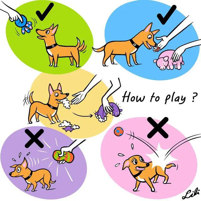Alt view image 5 of 7 - 4PCS 2.4" Squeak Latex Puppy Toy Funny Animal Sets for Small Dog | Assorted Color Pet Interactive Play, Squeaky Fetch Toys,Soft Bouncy,Lightweight Indoor & Outdoor Plays