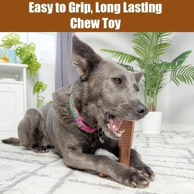 Alt view image 4 of 7 - Bam-Bones Plus T Bone Bamboo Fiber & Nylon Dog Chew Toy for Moderate to Aggressive Chewers, Durable Long Lasting & Non-Splintering, Beef Flavor Toy for Adult Dogs & Puppies Under 60 lbs, 6 in
