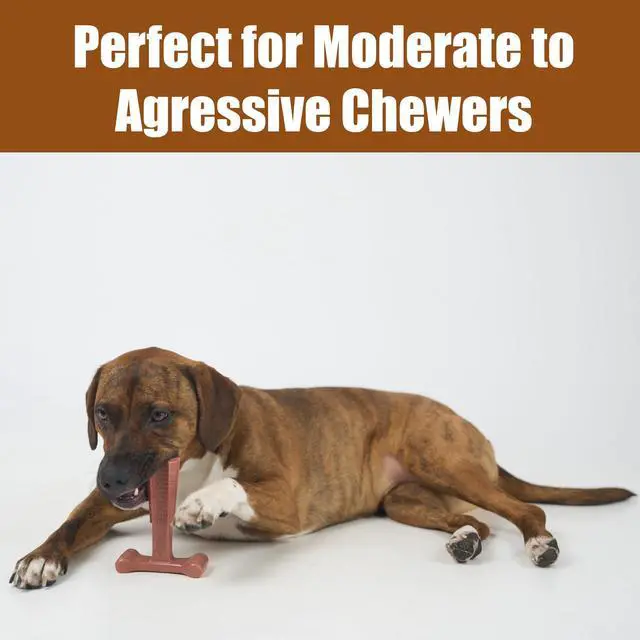Alt view image 3 of 7 - Bam-Bones Plus T Bone Bamboo Fiber & Nylon Dog Chew Toy for Moderate to Aggressive Chewers, Durable Long Lasting & Non-Splintering, Beef Flavor Toy for Adult Dogs & Puppies Under 60 lbs, 6 in