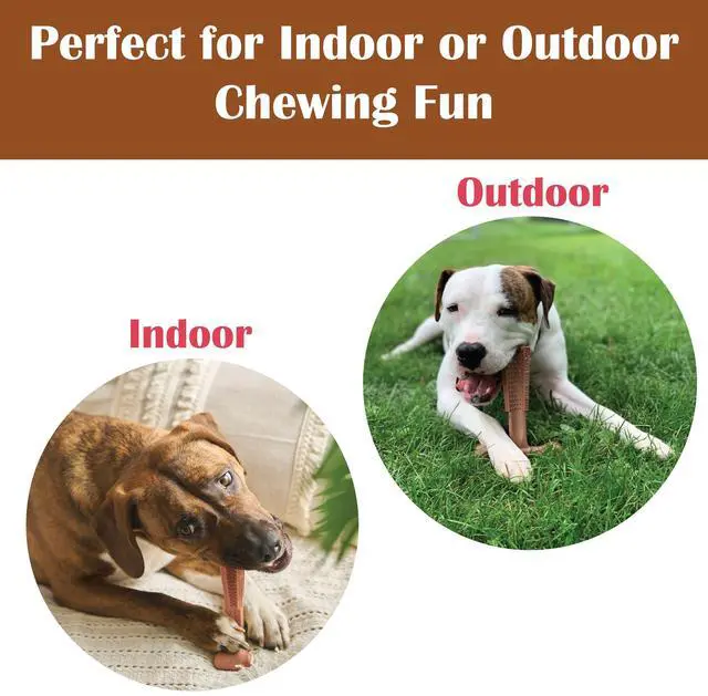 Alt view image 6 of 7 - Bam-Bones Plus T Bone Bamboo Fiber & Nylon Dog Chew Toy for Moderate to Aggressive Chewers, Durable Long Lasting & Non-Splintering, Beef Flavor Toy for Adult Dogs & Puppies Under 60 lbs, 6 in