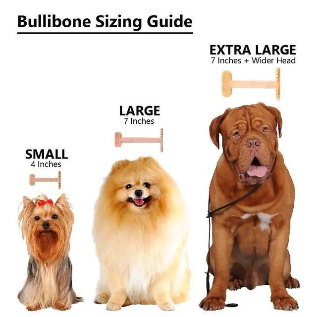Alt view image 6 of 7 - Nylon Dog Chew Toy for Aggressive Chewers - Dental Hygiene Bone with Peanut Butter Flavor, Durable Tough Chew Toys for Large Dogs, Indestructible Dog Bone - 2 Pack