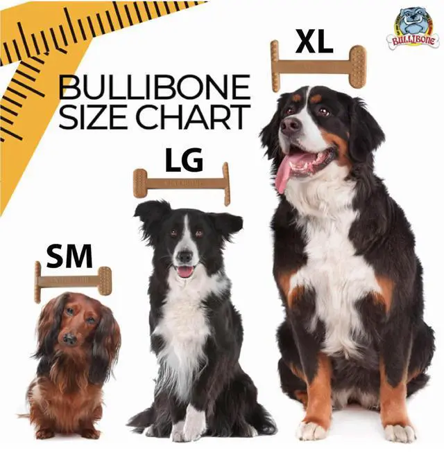 Alt view image 7 of 7 - Nylon Dog Chew Toy for Aggressive Chewers - Dental Hygiene Bone with Peanut Butter Flavor, Durable Tough Chew Toys for Large Dogs, Indestructible Dog Bone - 2 Pack