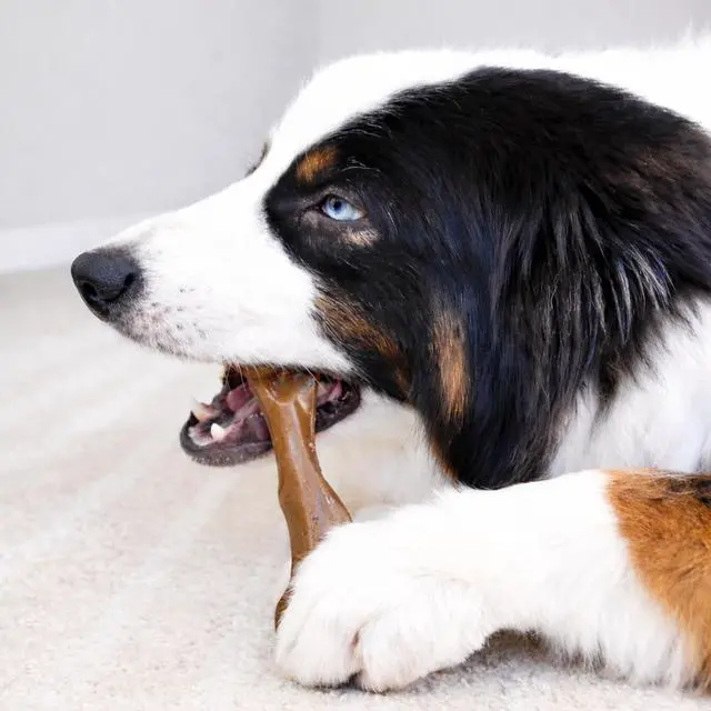 Alt view image 5 of 7 - Strong Chew Femur Bone Dog Toy, Dog Bone for Aggressive Chewers | Dog bones for large dogs and strong chewers, long-lasting chew toy made with real bison & venison