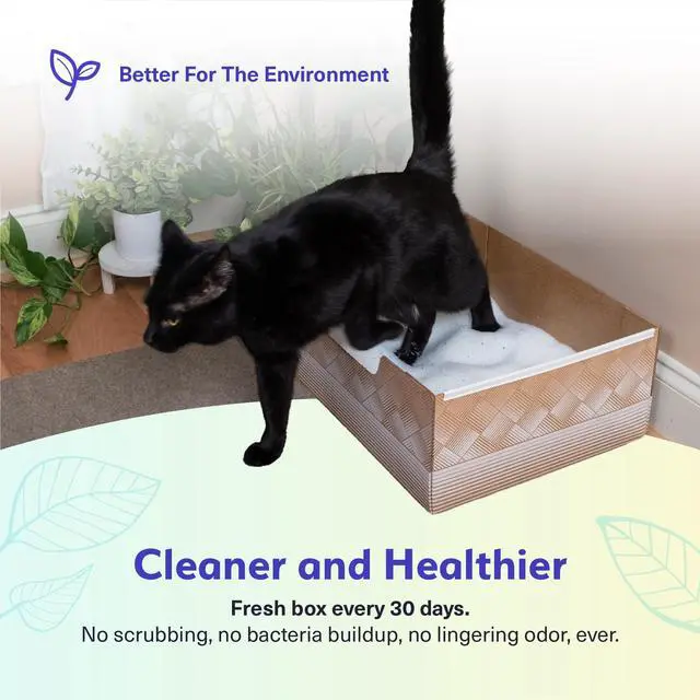 Alt view image 5 of 7 - Disposable Cat Litter Box 2-Pack, Leak-Proof 30-Days Per Box | Patented Leak-proof Design, 2-Months Odor Control , Made in USA, Perfect for Travel & Multi-Cat Homes, Portable