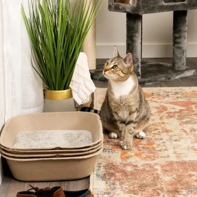 Alt view image 7 of 7 - (Set of 1 Litter Box & 5 Sifting Liners) Disposable Sifting Cat Litter Box Large, 6 Count, Durable and Portable for Travel and Home Odor Control