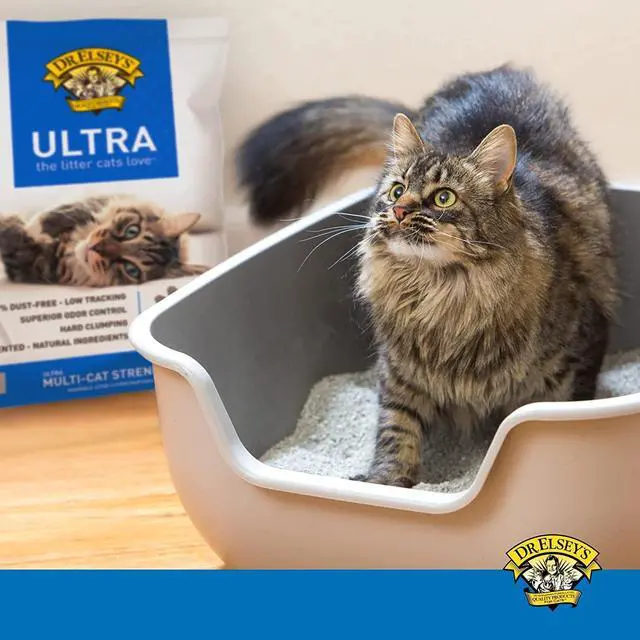 Alt view image 5 of 7 - Ultra UnScented Clumping Clay Cat Litter 40 lb. Bag