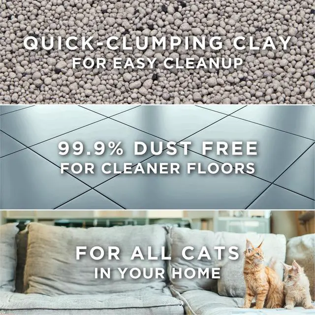 Alt view image 4 of 7 - Free and Clean Unscented Clumping Cat Litter, 38 lb Box | Activated charcoal delivers lasting odor control, made without fragrances or dye, clumping