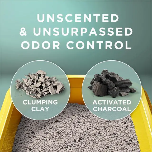 Alt view image 5 of 7 - Free and Clean Unscented Clumping Cat Litter, 38 lb Box | Activated charcoal delivers lasting odor control, made without fragrances or dye, clumping