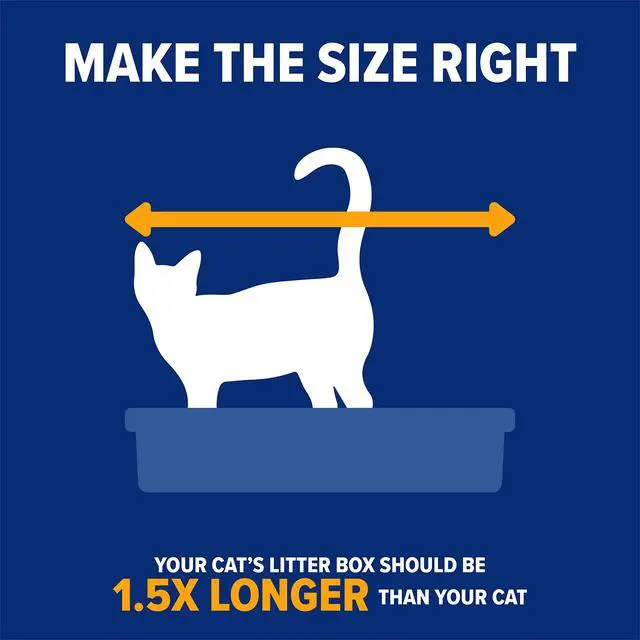 Alt view image 6 of 7 - Rimmed Cat Litter Box with High Sides and Microban, Made in USA