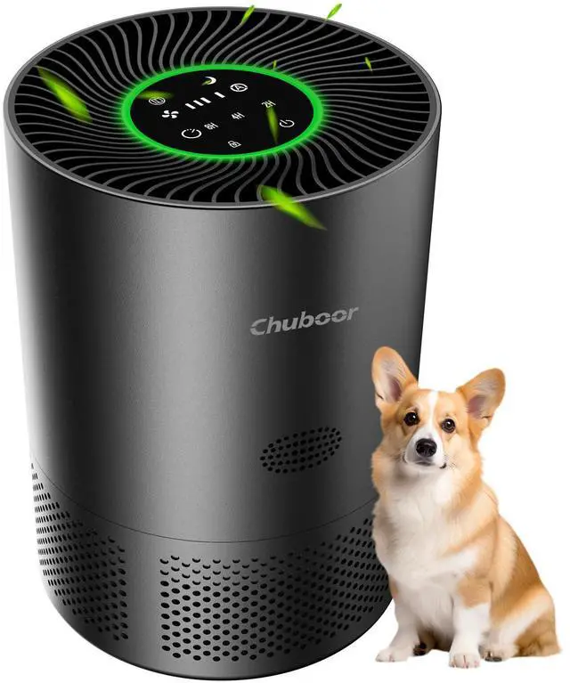 Main image of Air Purifiers for Home Large Rooms, H13 True HEPA for Bedroom Dorm Room Pets, kitchen, washroom, with Timer, Auto Mode, Sleep Mode, for Smoke and Dust, Pollen, Odors, PJ01, Black