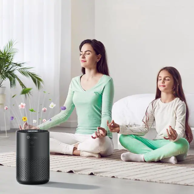 Alt view image 7 of 7 - Air Purifiers for Bedroom Home with H13 True HEPA Filter, 20dB Quiet Air Cleaner for Pets Hair Dander Odor, Smoke Dust Pollen, Aromatherapy Function, Black