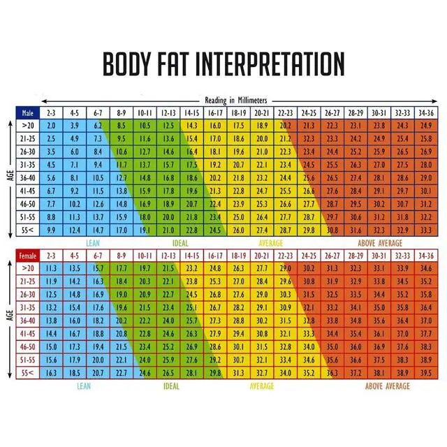 Alt view image 3 of 7 - Portable Skin Fat Caliper Tester mm inch LCD Screen Athletic Women/Men Body Tools Monitoring Kit Handheld Body Fat Caliper