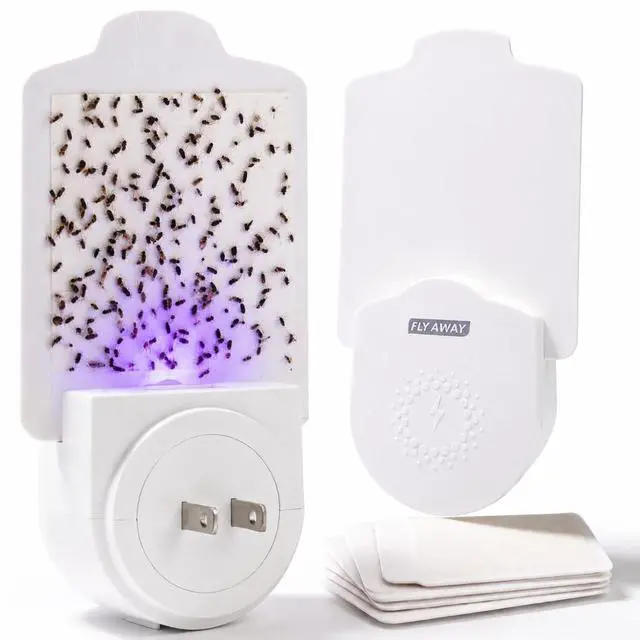 Main image of Fly Away Indoor Fly Trap Plug-in (2 Pack) with 6 Refills Catches Fruit Flies, Gnats & Small Flying Insects Silent, Non-Toxic Sticky Trap with UV Light