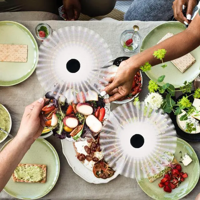 Alt view image 6 of 7 - Fly Swatter for Outside or Inside Meal, Picnic Fan for Table Use, Fly Fans for Tables, Barbeque, Events, Battery Operated Food Spinning Fan