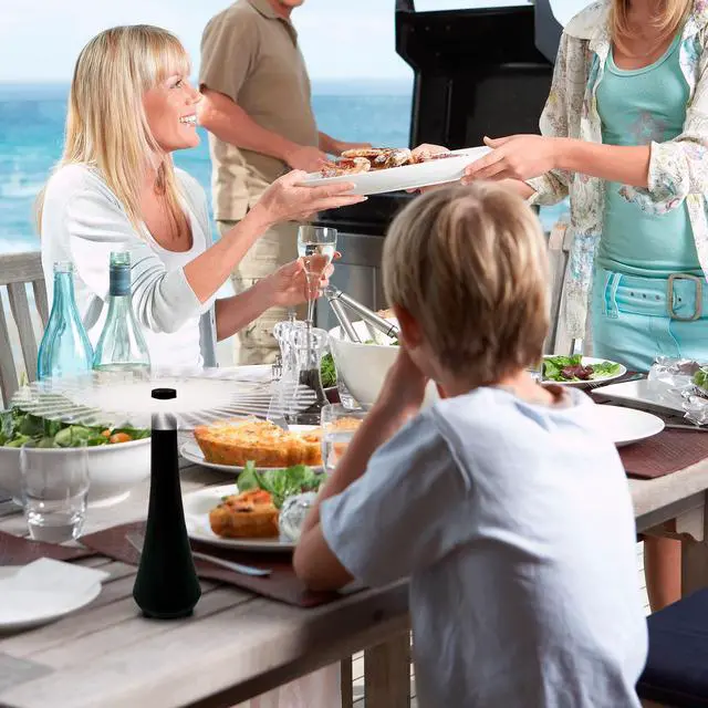 Alt view image 7 of 7 - Fly Swatter for Outside or Inside Meal, Picnic Fan for Table Use, Fly Fans for Tables, Barbeque, Events, Battery Operated Food Spinning Fan