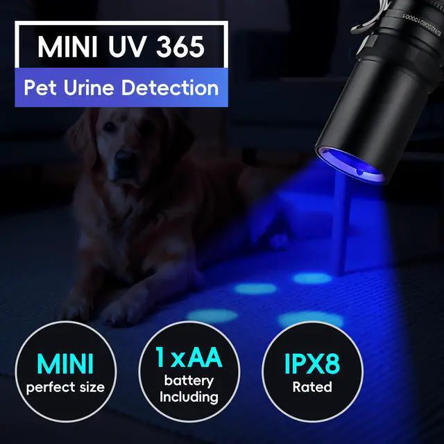 Alt view image 7 of 7 - 365nm Black Light Flashlight, UV Flashlight, Black Light Flashlight Mini for Pet Urine Detection, Resin Curing, Blood Tracking, A/C Leak, Scorpion, Uranium Glass