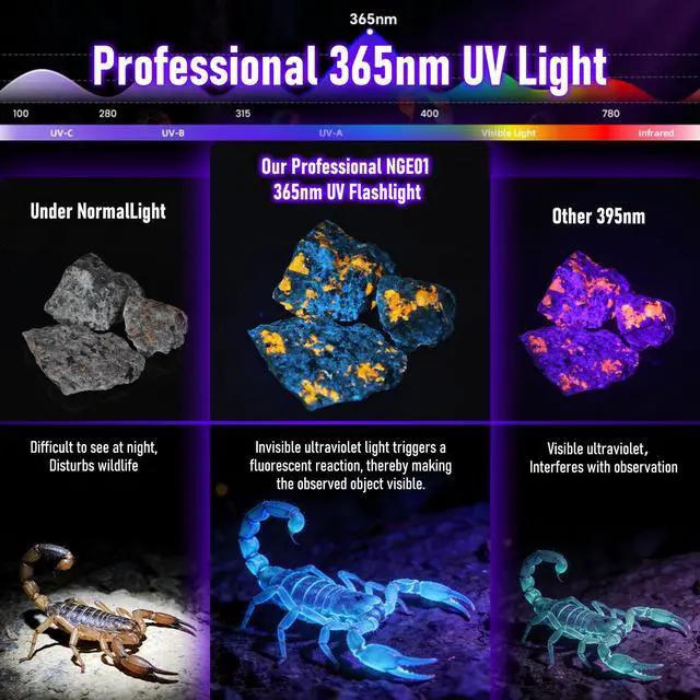 Alt view image 3 of 7 - NGE01 365nm UV Black Light Flashlight, Portable One Mode LED Ultraviolet Pocket Flashlight for Pet Urine Stains, Curing UV Glue, Scorpions, Resin, Leak Detection