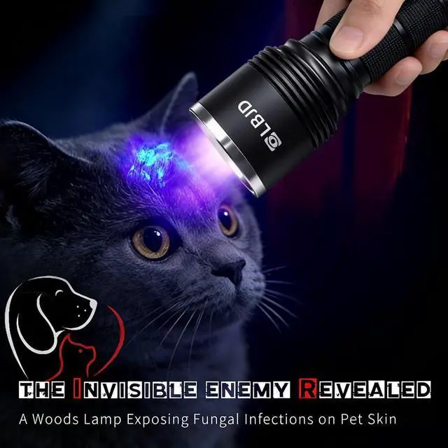 Alt view image 3 of 7 - Black Light Flashlight, 365NM Rechargeable Filtered UV Flashlights with High Power Battery for pet Urine Detection, Resin Curing, Scorpions, Rocks Hunting, Car Leaks