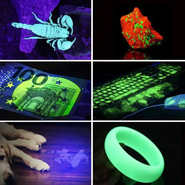 Alt view image 4 of 7 - Black Light Flashlight, 365NM Rechargeable Filtered UV Flashlights with High Power Battery for pet Urine Detection, Resin Curing, Scorpions, Rocks Hunting, Car Leaks
