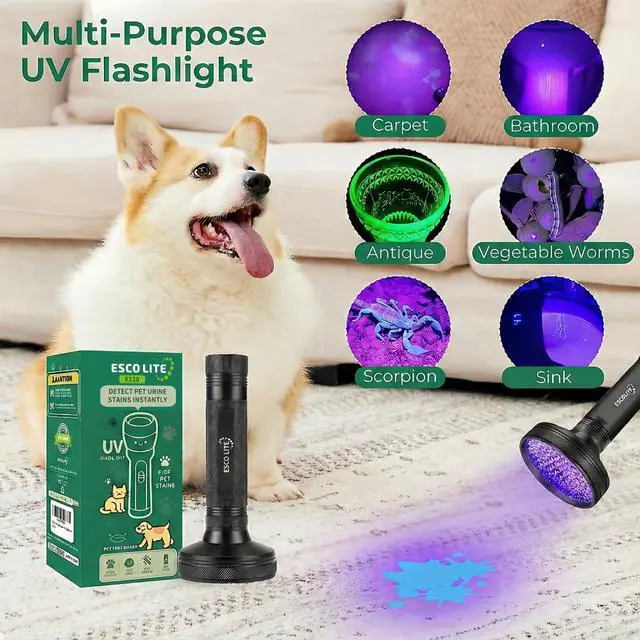 Alt view image 5 of 6 - UV Flashlight Black Light, 100 LED 395 nM Ultraviolet Flashlights UV Blacklight Detector for Dog Urine, Pet Stains