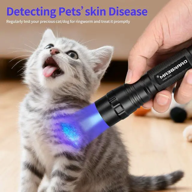 Alt view image 6 of 7 - UV Flashlight 365 nm Light Blacklight, Mini Powerful Woods Lamp USB-C Rechargeable, LED 10W Ultraviolet Flashlights Pocket Pet Urine Detector for Mineral, Uranium Glass, Resin Curing