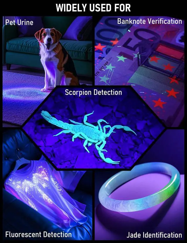 Alt view image 6 of 6 - 365nm UV Flashlight Mini, Ultraviolet Small Black Light Flash Lights USB C Rechargeable, Portable Handheld LED Blacklight for Pet Urine Detection Scorpion Resin Curing