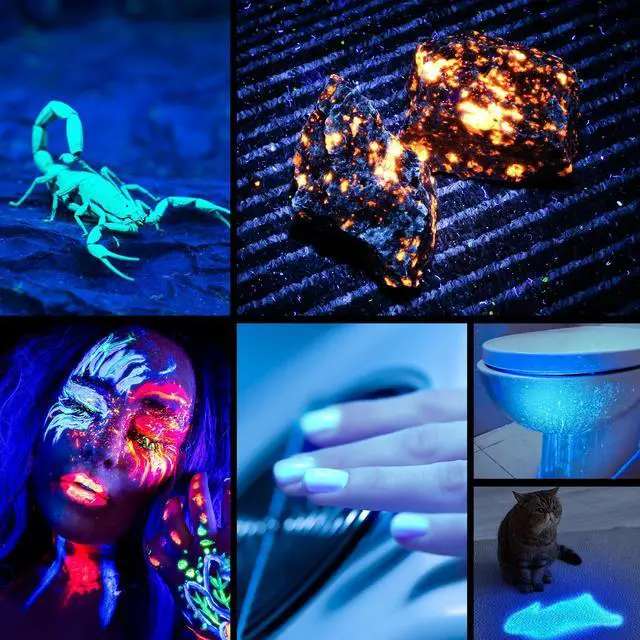 Alt view image 6 of 7 - UV Flashlight Black Light USB-C Rechargeable, 365nm LED Ultraviolet Blacklight, Portable Woods Lamp for Pet Urine Detection, Dry Stains, Bed Bug, Curing Resin and Gel Nails, Yooperlites