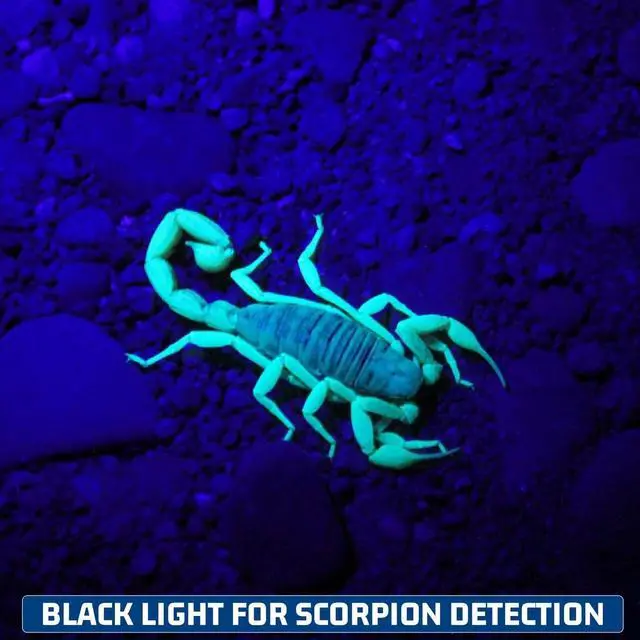 Alt view image 5 of 7 - S3U UV Flashlight Blacklight, Rechargeable Powerful Handheld UV Light for Resin Curing, Pet Urine & Scorpion Detection, Rocks & Minerals Hunting (365NM)