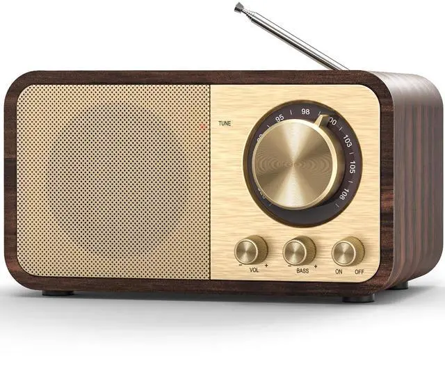 Main image of FM Radio with Best Reception, Portable Transistor Radio with 5W Speaker, Rechargeable Vintage Radios for Home Outdoor, Support TF Card Play, USB MP3 Player, AUX, Bass Mode
