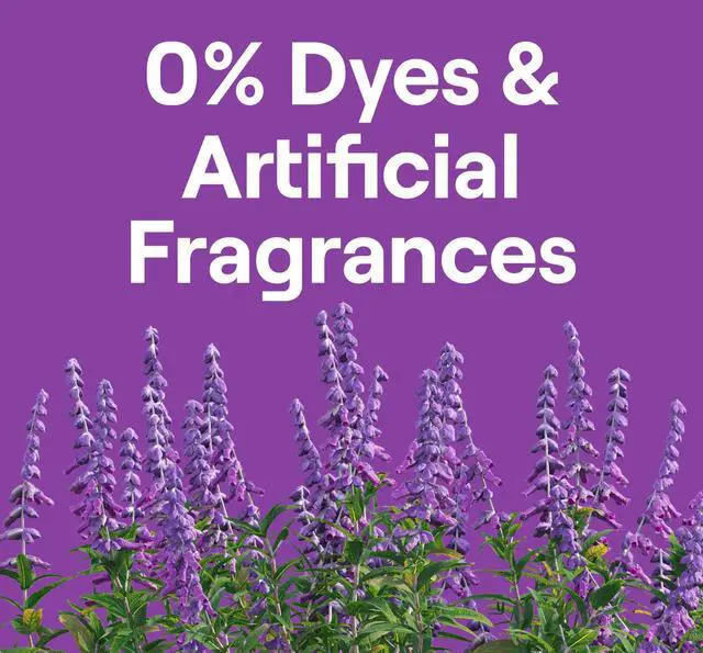 Alt view image 4 of 5 - Laundry Detergent Packs, Lavender, Biobased Deep Clean, EPA Safer Choice Certified, 64 Count