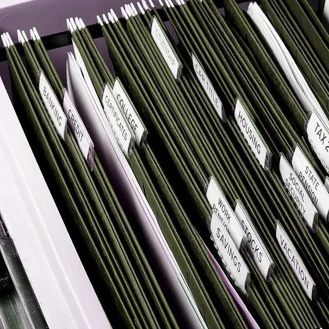 Alt view image 7 of 7 - Hanging File Folders, 60 Pack Reinforced Hanging Folders Letter Size, Designed for Bulky Files, Filing Cabinet, Adjustable Tabs, Green