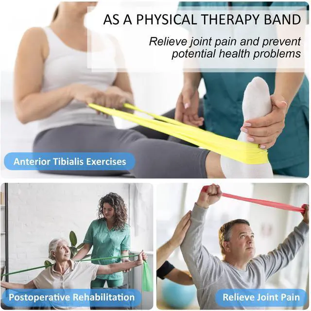 Alt view image 7 of 7 - Exercise Bands Set with Handles - Latex Free Resistance Bands for Stretching, Workout, Rehab, Yoga, Pilates, Gym, Home Exercise