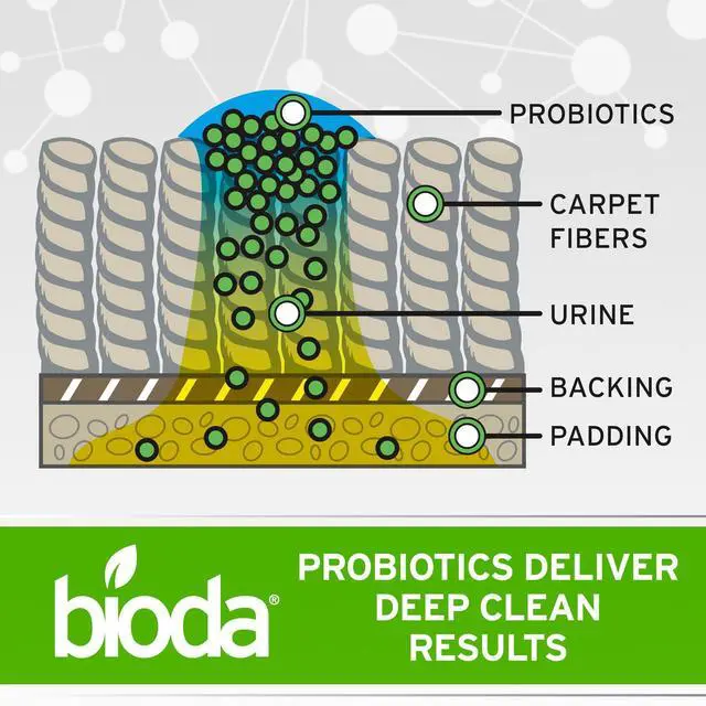 Alt view image 4 of 7 - Multi-Purpose Probiotic Enzyme Cleaner and Deodorizer | Professional Strength | Trash Can Deodorizer, Pet Stains and Odors, Drains, Floors, Bathrooms, Toilets | Made in USA | 1 Gallon