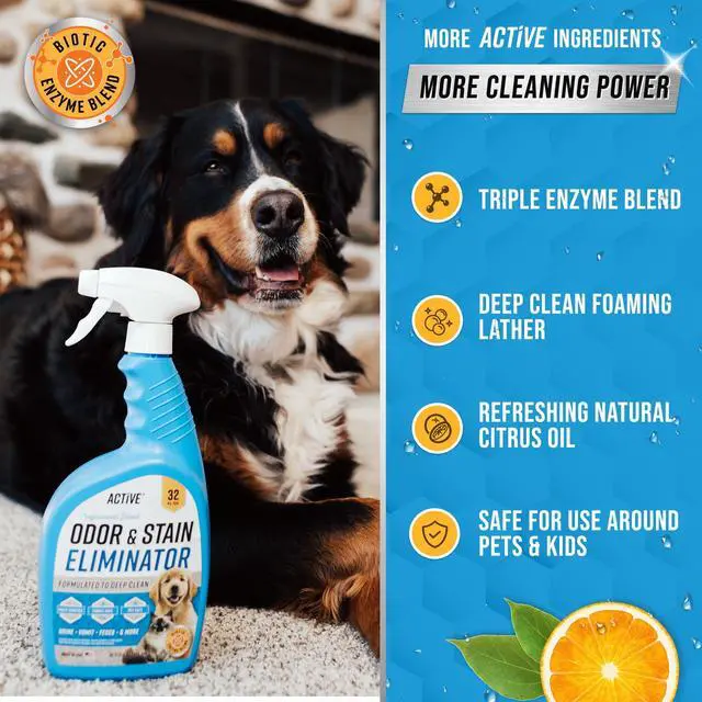 Alt view image 5 of 6 - Pet Odor and Stain Eliminator - 32 oz Enzyme Cleaner for Dog & Cat Urine, Stain Remover Spray for Carpet, Upholstery, Hardwood, Spot Cleaning, Deodorizer for Dogs Cats Pets - Natural Citrus Oil