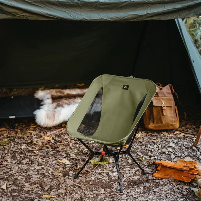 Alt view image 6 of 6 - YL01 Snap Camping Chair, 1 Second Setup Frame, 441lb Capacity Camp Chair, Portable & Lightweight Backpacking Chair