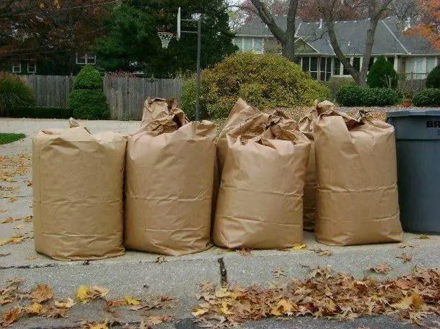Alt view image 4 of 4 - Yard Waste Bags - Large 30 Gallon Brown Paper Leaf Bags for Yard/Garden/Lawn - Environmental Friendly - Tear Resistant - Heavy Duty - 2 Ply Self Standing (Pack of 5)