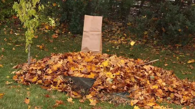 Alt view image 3 of 4 - Yard Waste Bags - Large 30 Gallon Brown Paper Leaf Bags for Yard/Garden/Lawn - Environmental Friendly - Tear Resistant - Heavy Duty - 2 Ply Self Standing (Pack of 5)