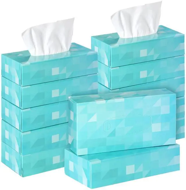 Main image of 12 Packs Graduation Facial Tissue Boxes 1560 Sheets Soft Facial Tissue Bulk for Teacher Classroom Spring 2 Ply 130 Sheets Disposable Travel Tissues Bulk for Weeding Car Kitchen(Single)