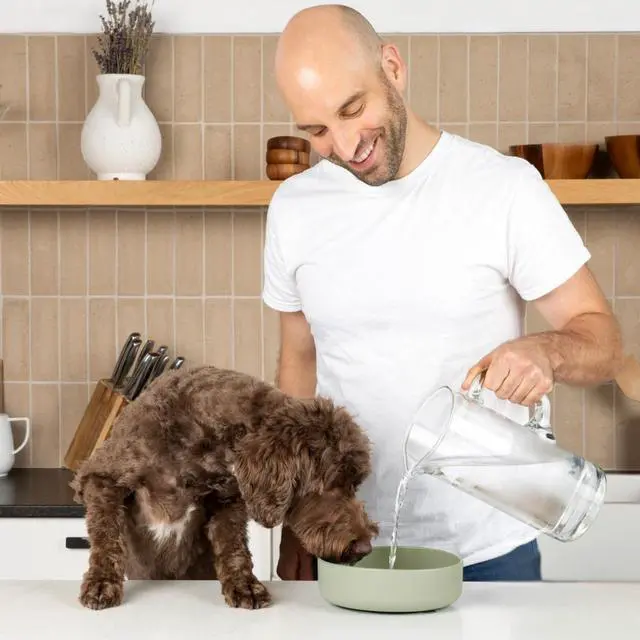 Alt view image 2 of 7 - Dog Water Bowl - The Perfect Dish No-Spill, Less Mess Non-Tippable Water & Food Bowl, Pure Silicone with Suction Cup Fits 5 Cups 7.5" Across x 2.25" Tall, Ideal for All Pets, Medium-Sage