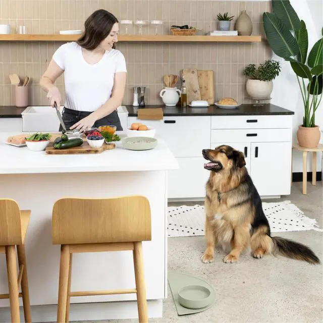 Alt view image 4 of 7 - Dog Water Bowl - The Perfect Dish No-Spill, Less Mess Non-Tippable Water & Food Bowl, Pure Silicone with Suction Cup Fits 5 Cups 7.5" Across x 2.25" Tall, Ideal for All Pets, Medium-Sage