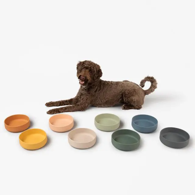 Alt view image 7 of 7 - Dog Water Bowl - The Perfect Dish No-Spill, Less Mess Non-Tippable Water & Food Bowl, Pure Silicone with Suction Cup Fits 5 Cups 7.5" Across x 2.25" Tall, Ideal for All Pets, Medium-Sage