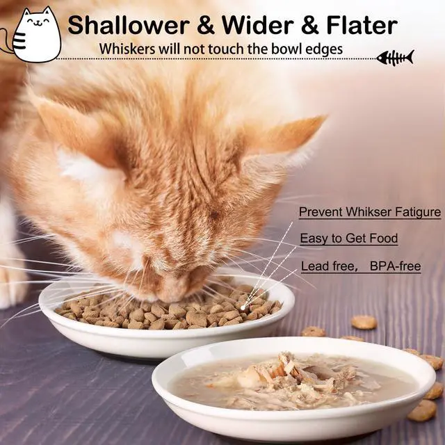 Alt view image 5 of 7 - Cat Food Bowl,Healthy Ceramic Cat Bowls for Indoor Cats,Anti Whisker Fatigue Cats Dishes Set,Shallow Wide Kitten Plates for Food and Water,Non-Slip Silicone Bottom,6 Pack