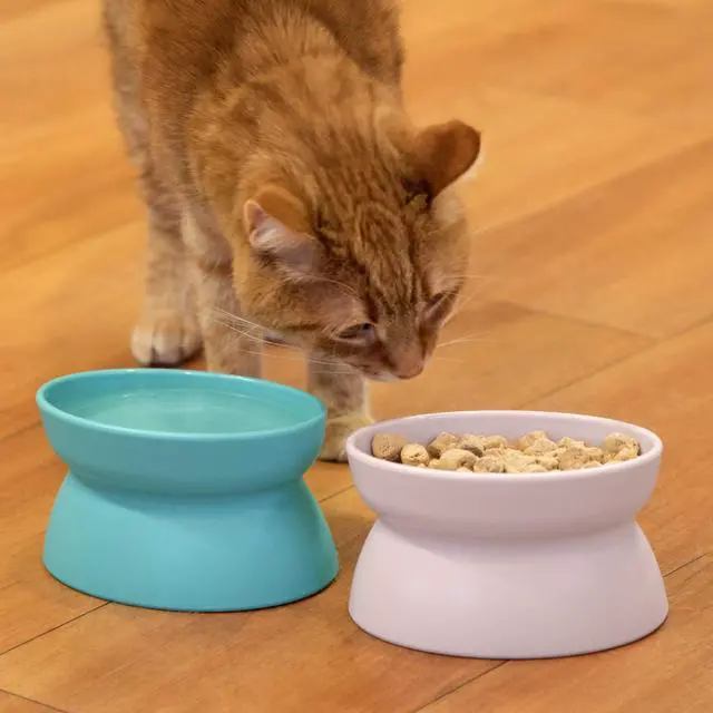 Alt view image 3 of 6 - Elevated Cat Bowls (Set of 2), Whisker-Friendly Raised Cat Food & Water Dishes, Modern Pedestal Design, Dishwasher Safe, 6.5 oz Each Teal & Light Pink