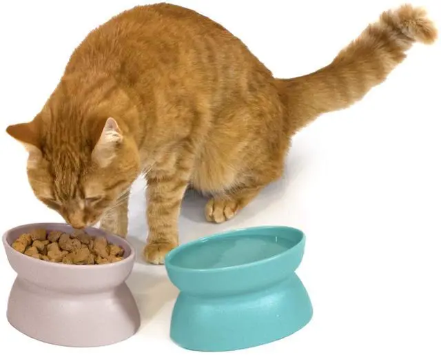 Alt view image 5 of 6 - Elevated Cat Bowls (Set of 2), Whisker-Friendly Raised Cat Food & Water Dishes, Modern Pedestal Design, Dishwasher Safe, 6.5 oz Each Teal & Light Pink