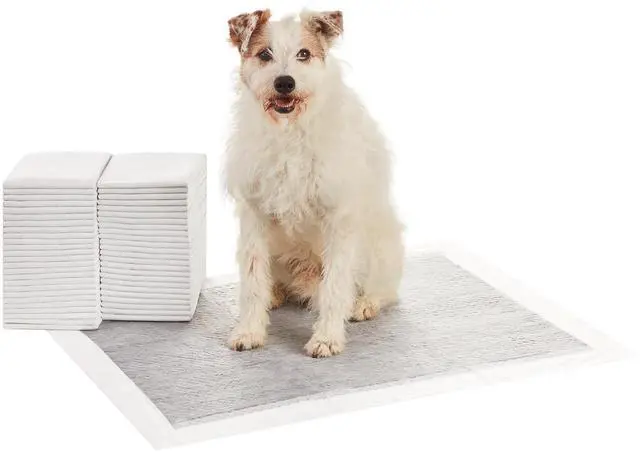 Main image of Carbon Odor Control Dog and Puppy Pee Pads, 5-Layer Leak-Proof Super Absorbent, Quick-Dry Surface for Potty Training and Housebreaking, X-Large Size 28"x34", Gray, 50 Count